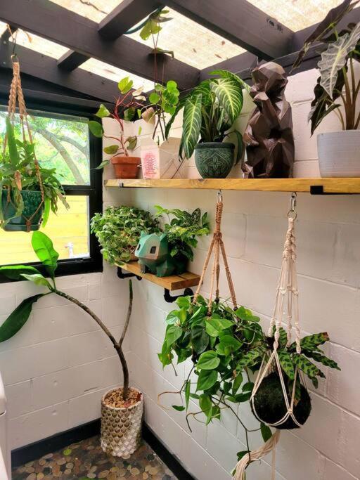 Holiday home Cozy Af Jungle-house Hideaway *